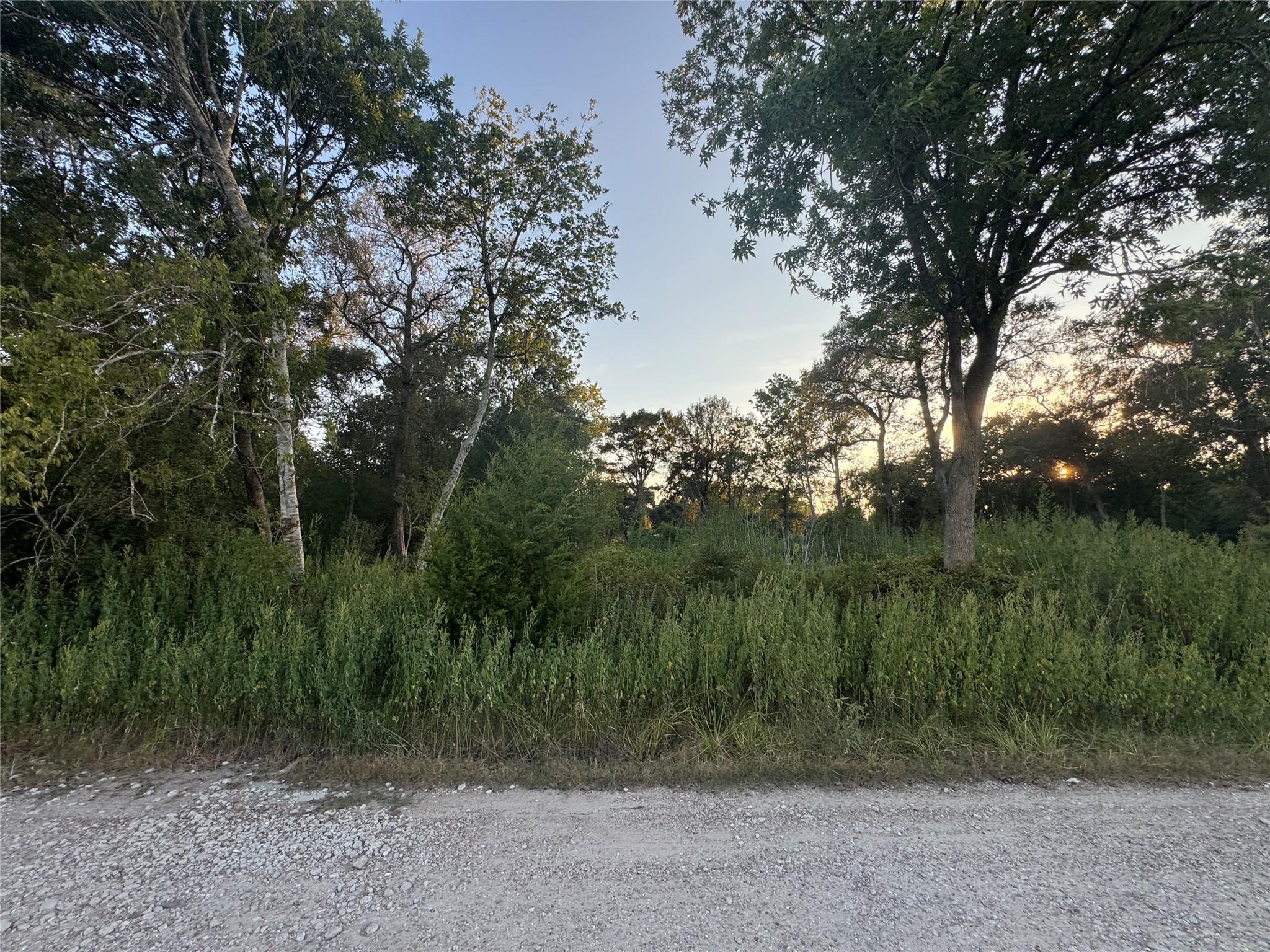 20310 Spruce Forest