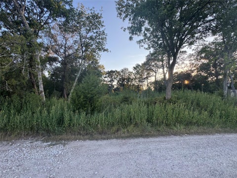 Vacant Land For Sale - 20310 Spruce Forest Dr<br/> Richmond, TX 77444