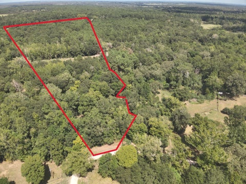 Photo of 12 Cr 134 Bocaregra Road, Leona, TX 75850 (MLS # 58694027)