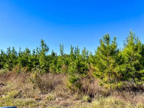 Vacant Land For Sale - T-4 Fm 787<br/> Votaw, TX 77376