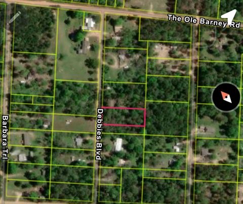 Photo of TBD Debbie Boulevard, Livingston, TX 77351 (MLS # 18356752)