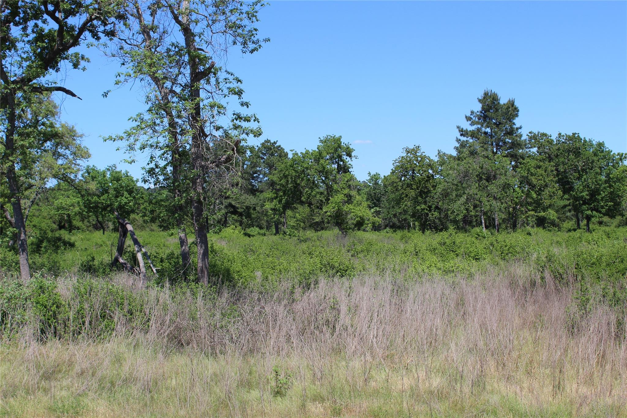 TR 53 Pr 1315 Road