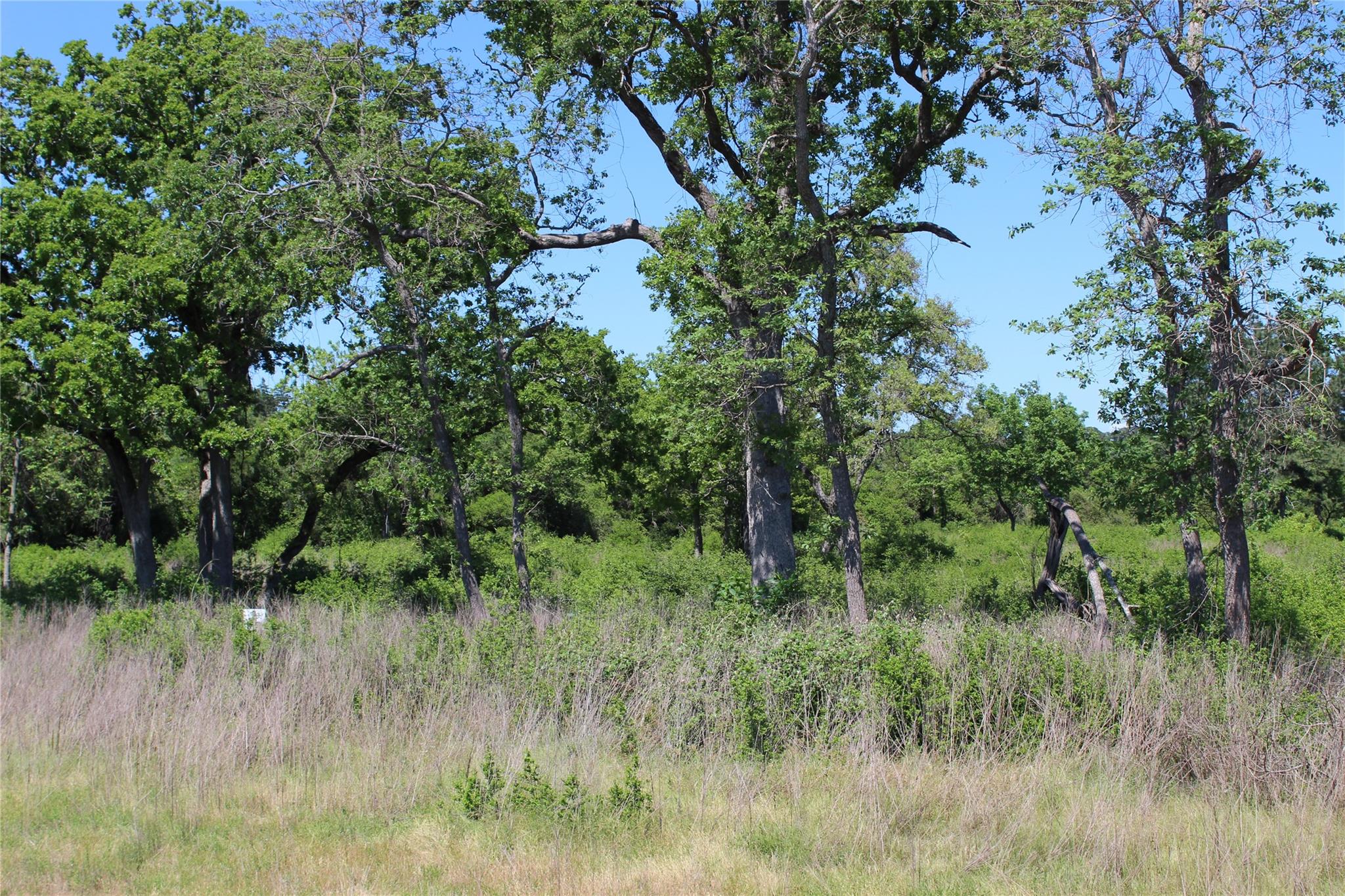 TR 53 Pr 1315 Road