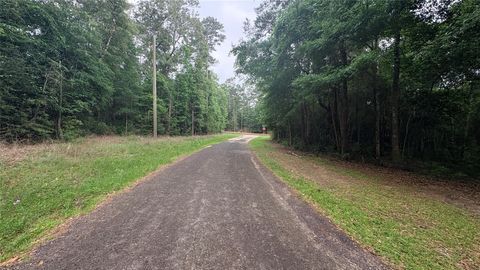 Photo of 19 Perdilot Drive, Ivanhoe, TX 75979 (MLS # 73351766)