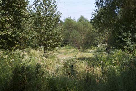 3238469514