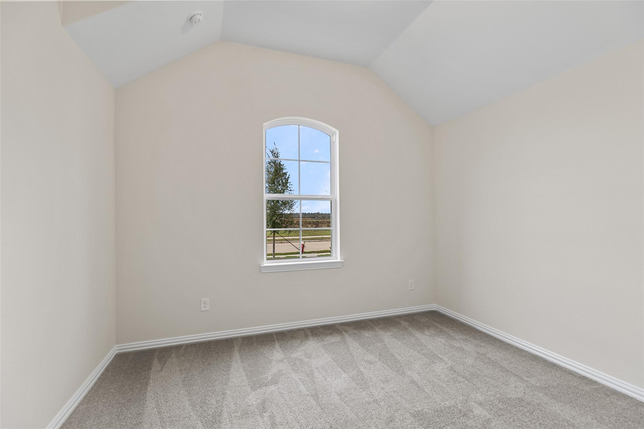 807 Evergreen Forest Lane