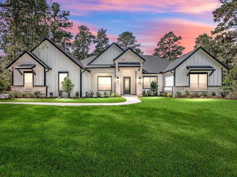 Photo of 197 Sandpiper Drive, New Waverly, TX 77358 (MLS # 81325467)