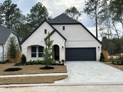 Photo of 29723 Brushy Gables Drive, Magnolia, TX 77354 (MLS # 33328260)