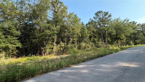 Photo of 213 Kings Court, Dayton, TX 77535 (MLS # 10706070)