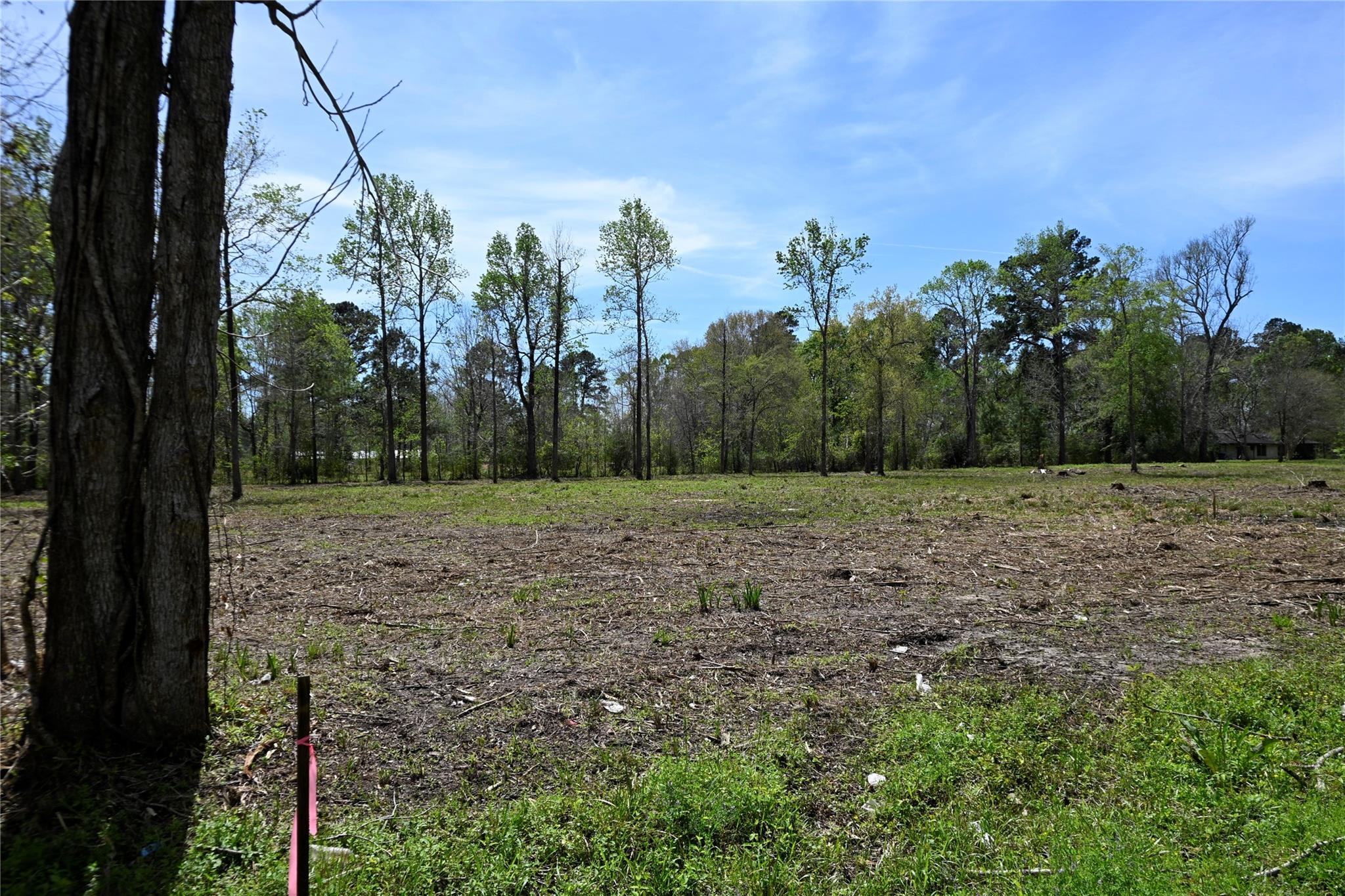 lot 5 County Road 2360