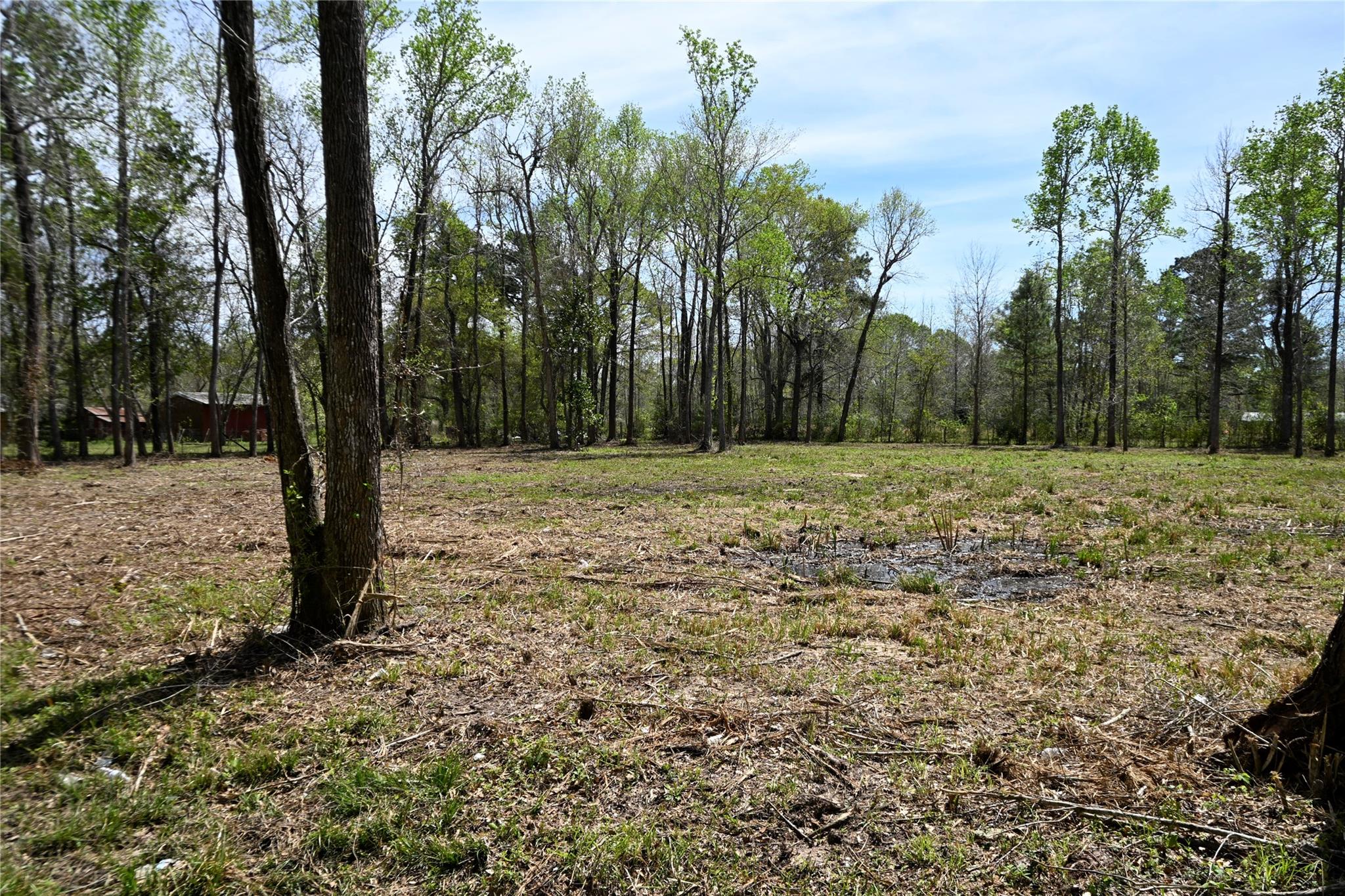 lot 5 County Road 2360