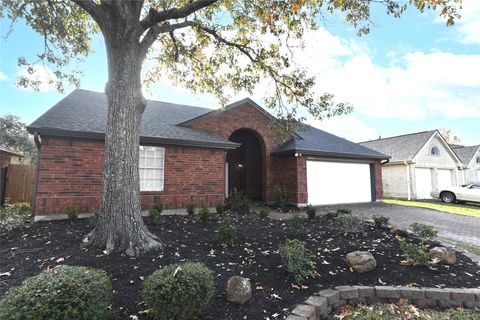 16002 Constitution Lane Friendswood TX 77546