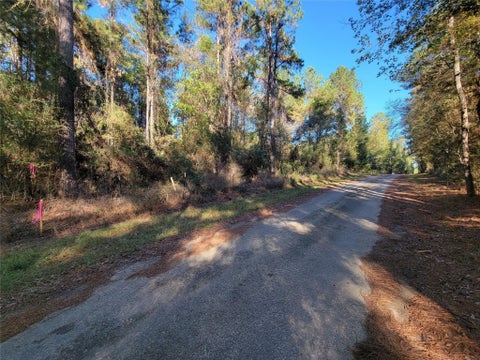 Photo of 0 County Road 2125, Cleveland, TX 77327 (MLS # 82311319)