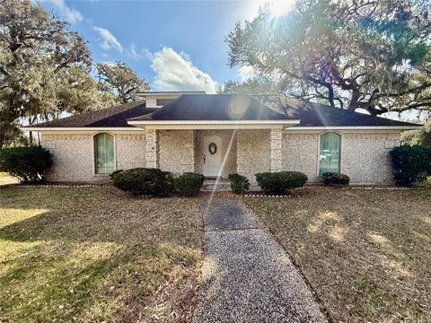 Photo of 175 Freeman Boulevard, West Columbia, TX 77486 (MLS # 69382466)