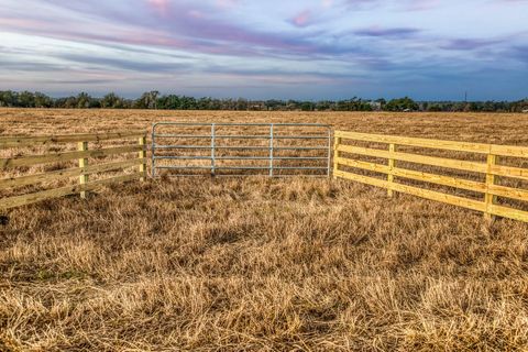 Vacant Land For Sale - T B D County Road 318<br/> Caldwell, TX 77836