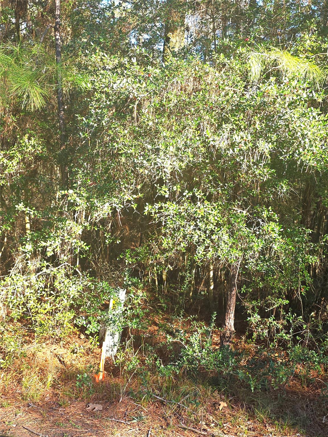 TBD Waterwood Bay Rd, Marina Acc Rd