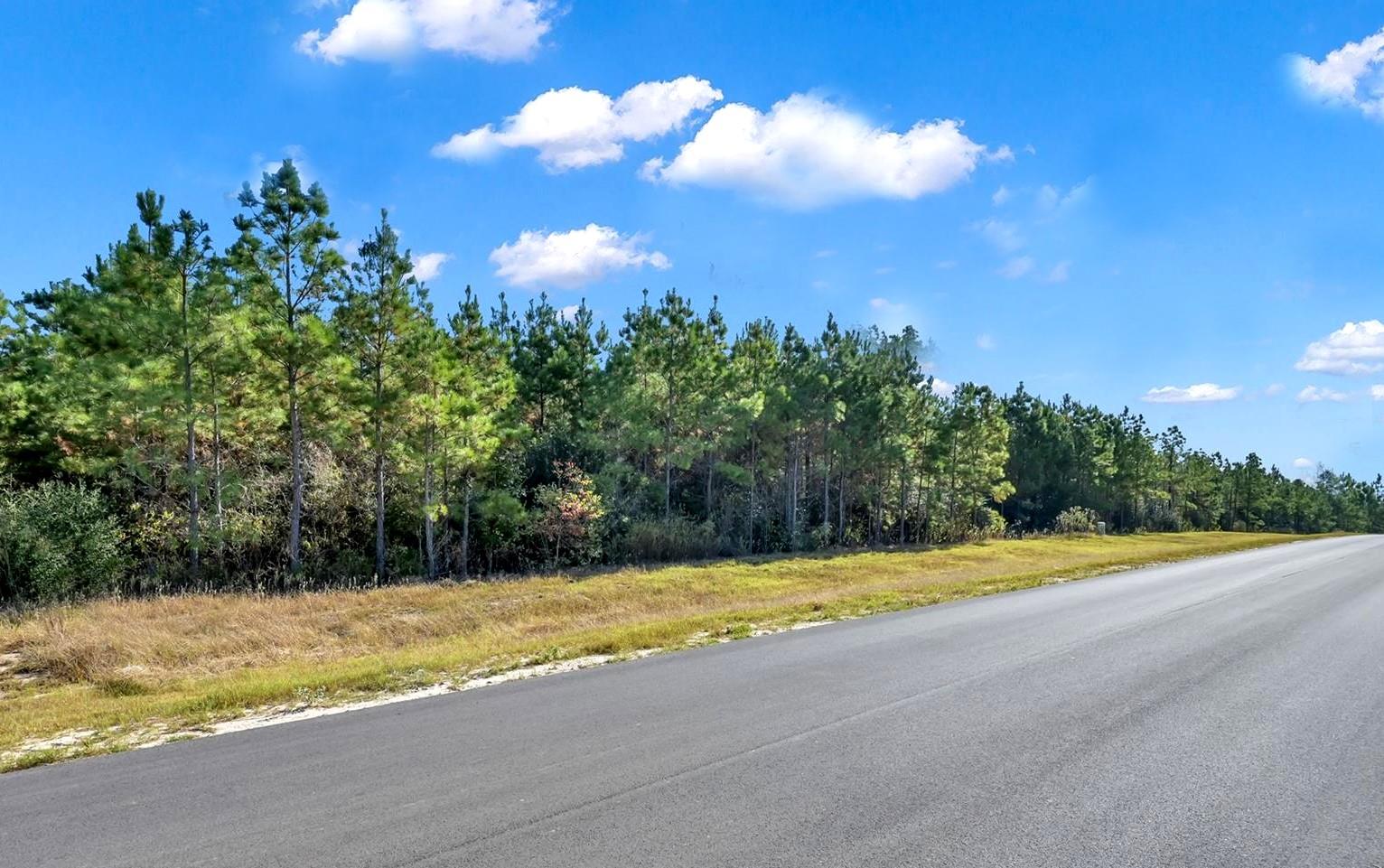 12007 High Branch Way