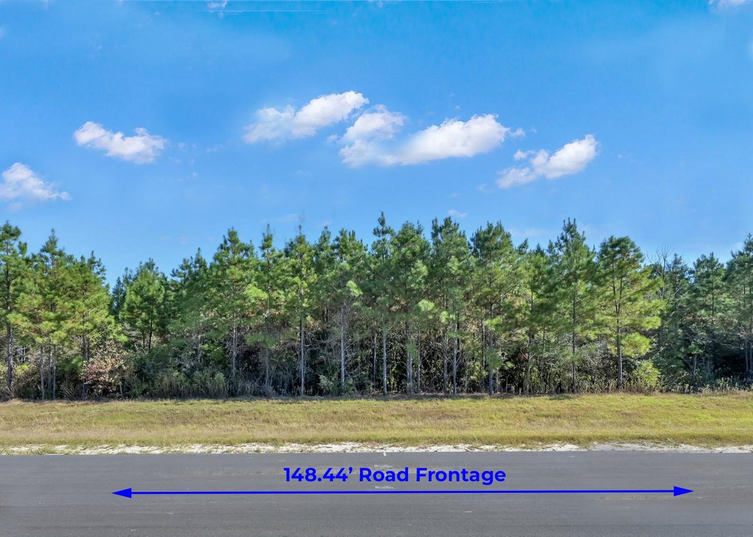 12007 High Branch Way