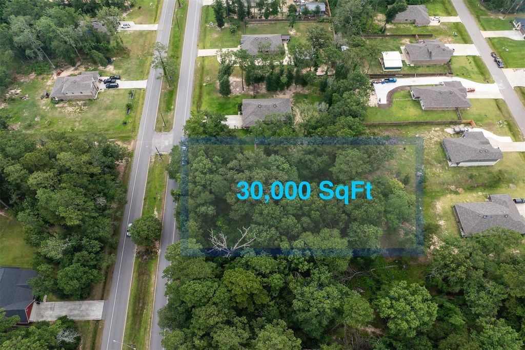 Photo of 2710 Roman Forest Boulevard, New Caney, TX 77357 (MLS # 57679756)