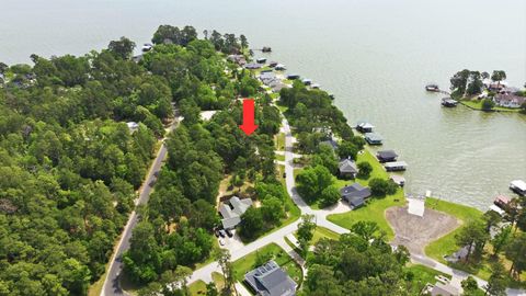 Photo of 213 Lakefront Drive, Onalaska, TX 77360 (MLS # 23471215)