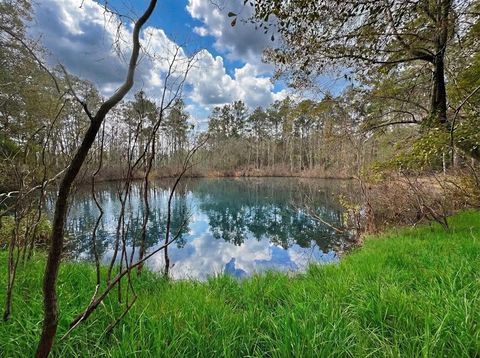 Vacant Land For Sale - TBD County Road 3017c<br/> Dayton, TX 77535