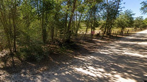 Tiny photo for 7 Dryden Street, Trinity, TX 75862 (MLS # 41708318)