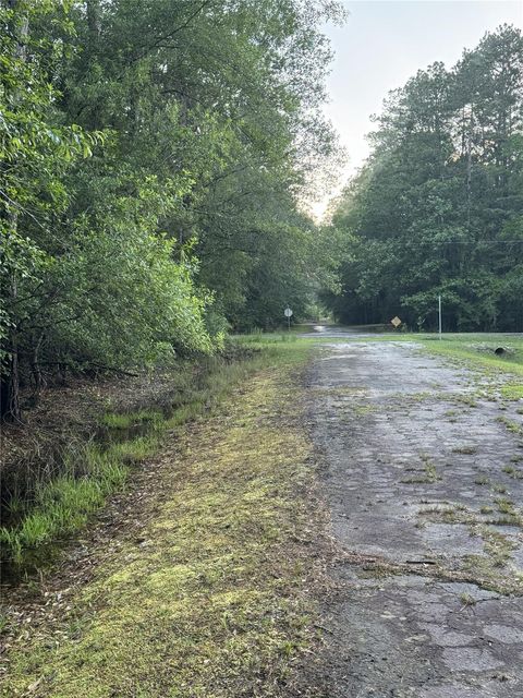 Photo of TBD Eucalyptus, Village Mills, TX 77663 (MLS # 54183868)