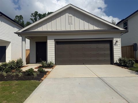 Photo of 5998 Mercer Street, Cut And Shoot, TX 77303 (MLS # 74125754)