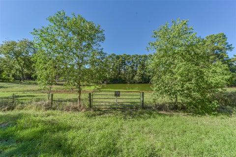Photo of 140 Little Road Loop, New Waverly, TX 77358 (MLS # 34939137)