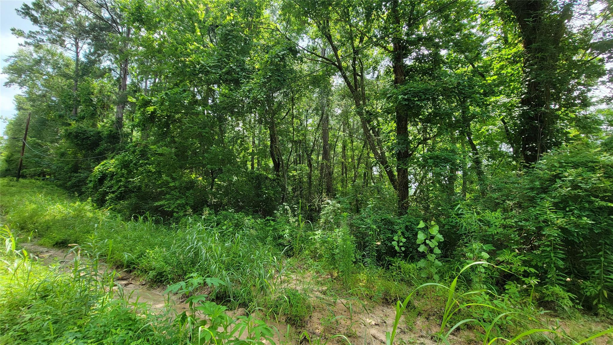 29,30,31,32 Eddie Martin Drive