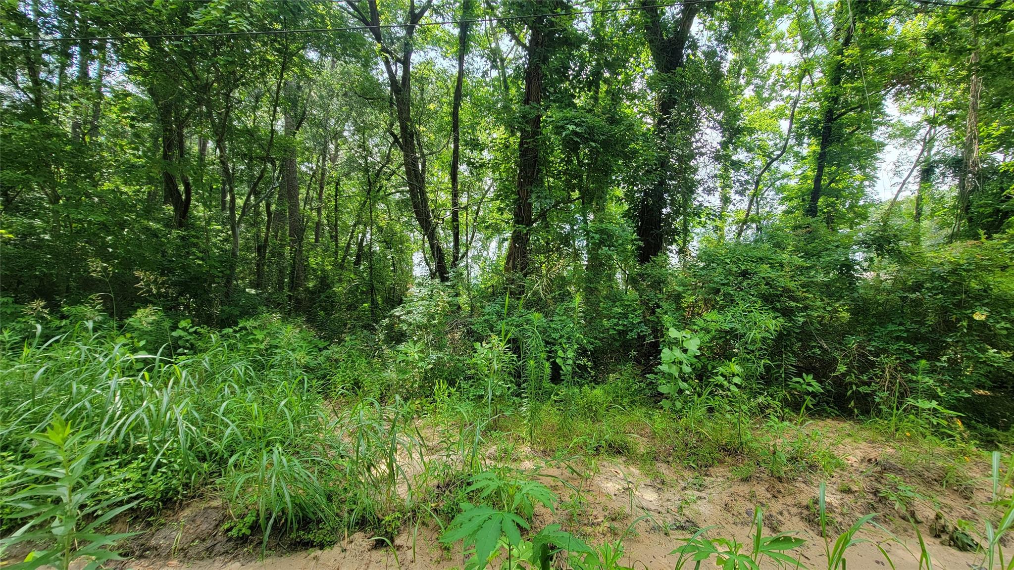 29,30,31,32 Eddie Martin Drive