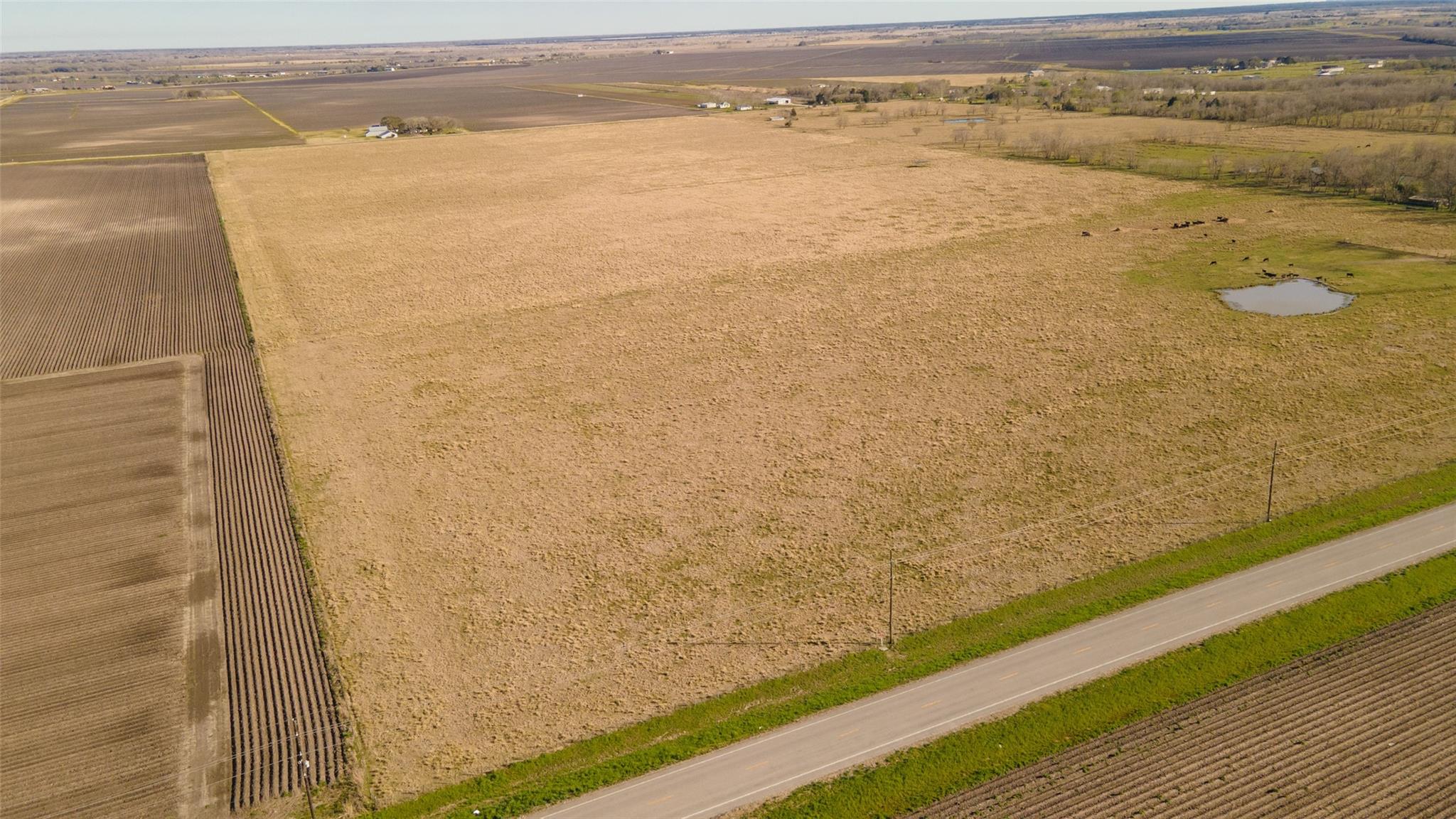 003 Fm 1462 Road