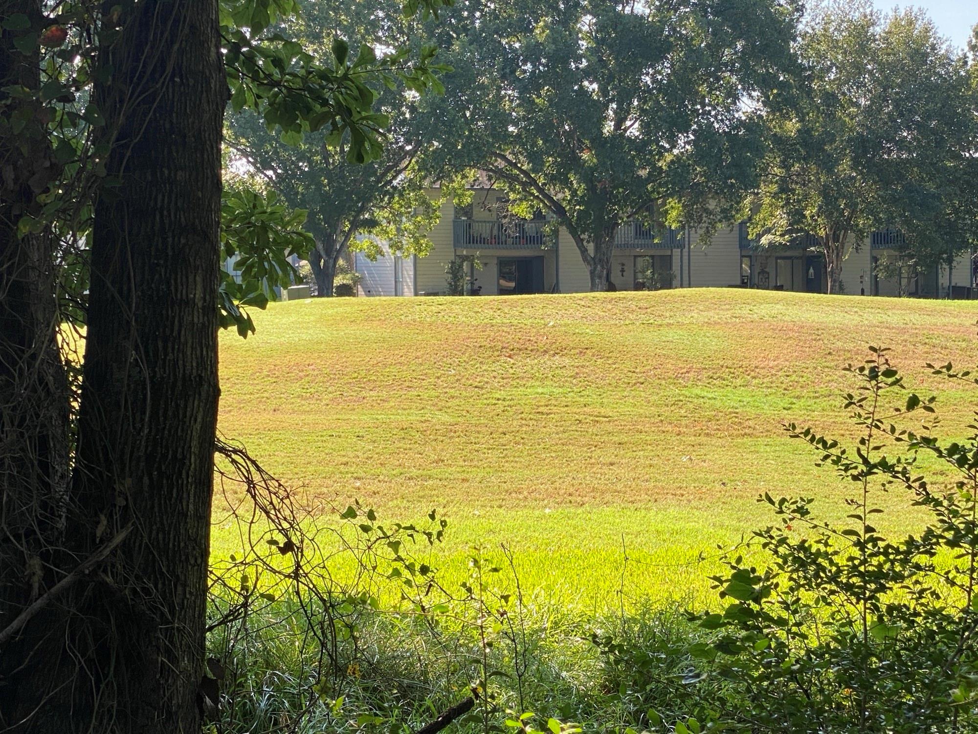 3550 & 3554 Country Club Boulevard