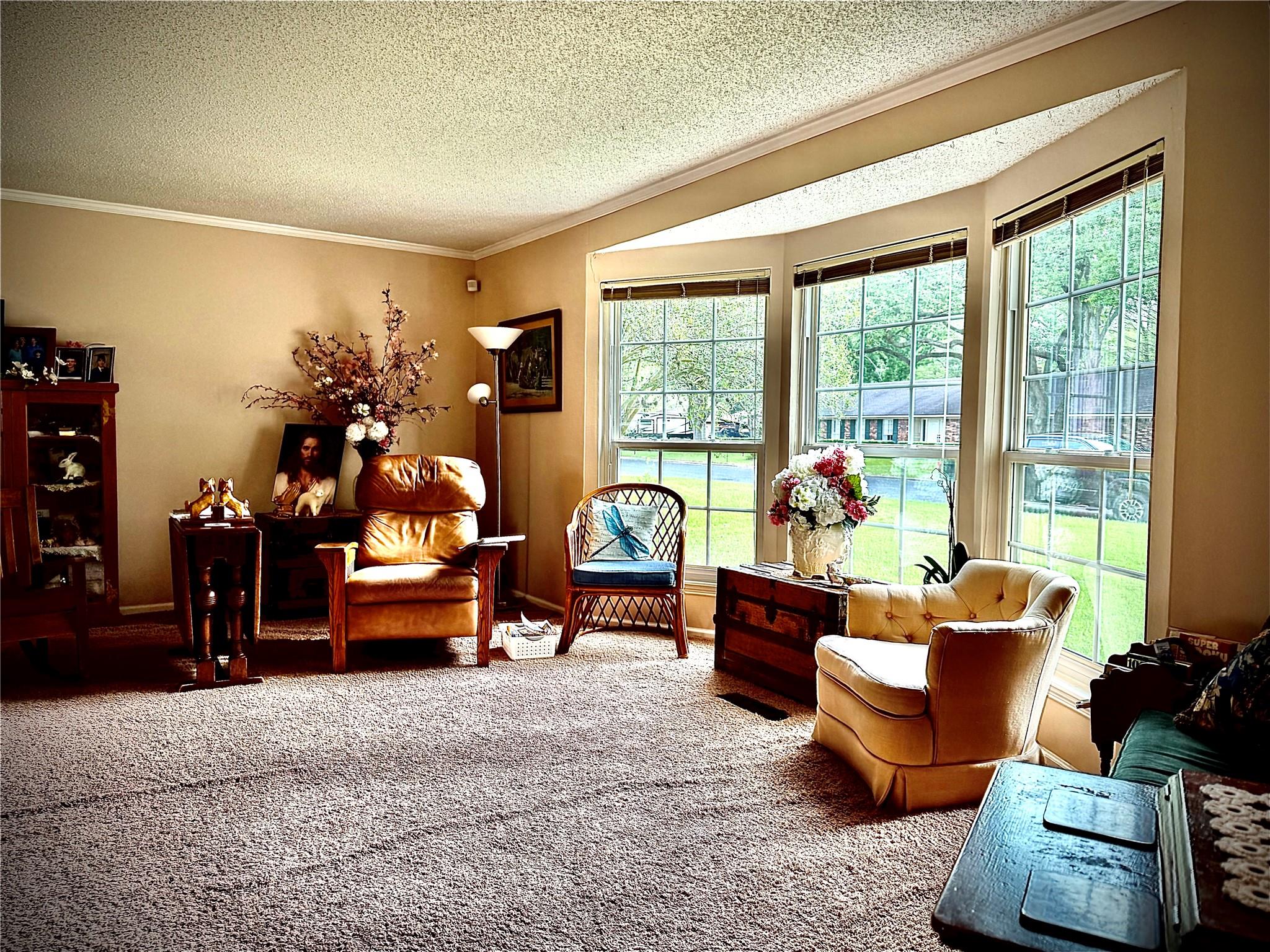529 Lily Lane