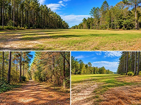 Photo of 396 Niles John W, Montgomery, TX 77356 (MLS # 24994402)