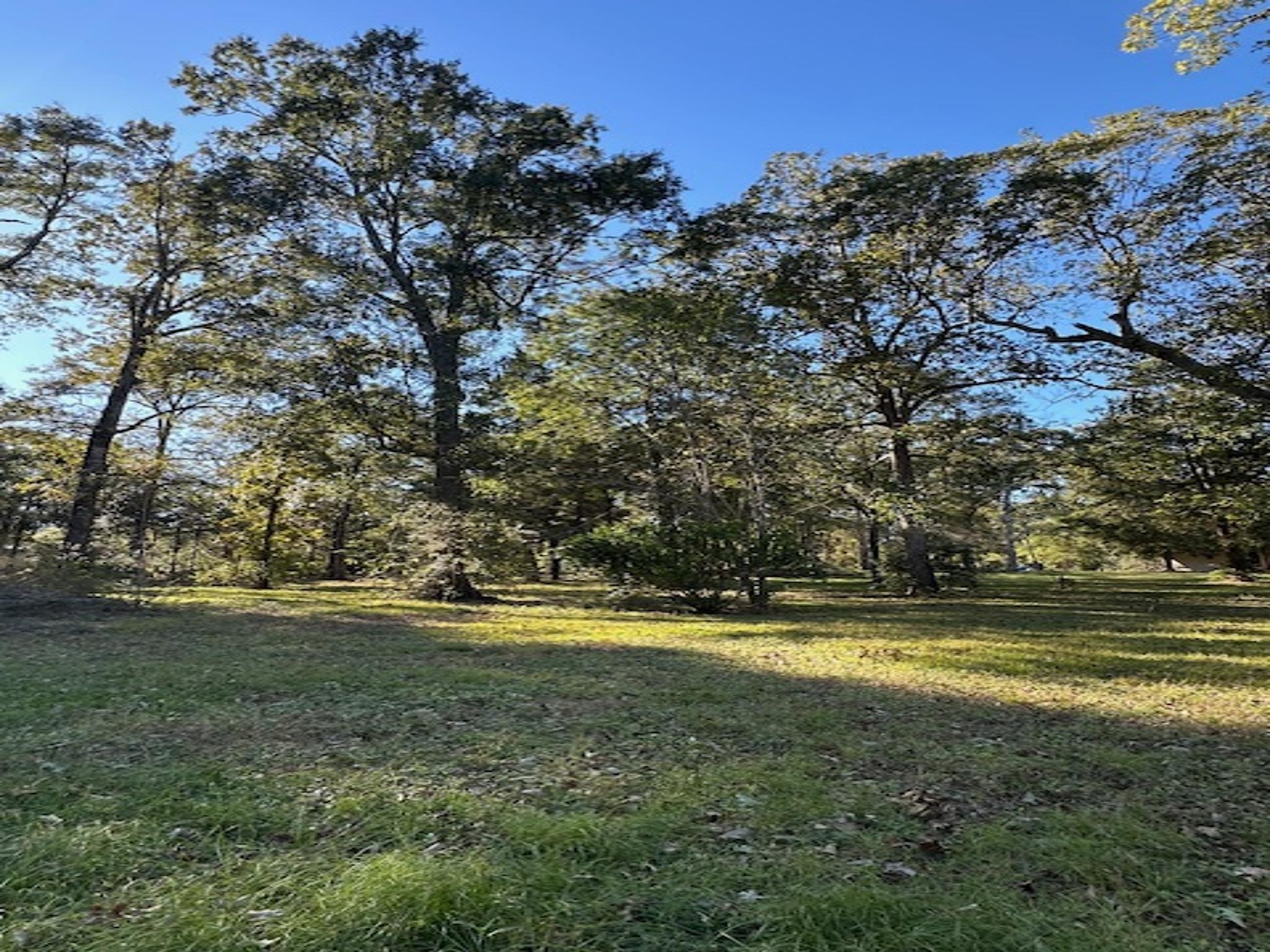 10699 Magnolia Drive