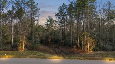 Vacant Land For Sale - 10733 Ruger Road<br/> Willis, TX 77378