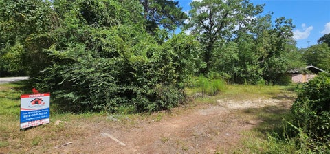 Photo of 14019 Stagecoach Road, Stagecoach, TX 77355 (MLS # 81074116)