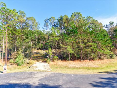 Photo of 17539 Julianne Drive, Waller, TX 77484 (MLS # 70869242)