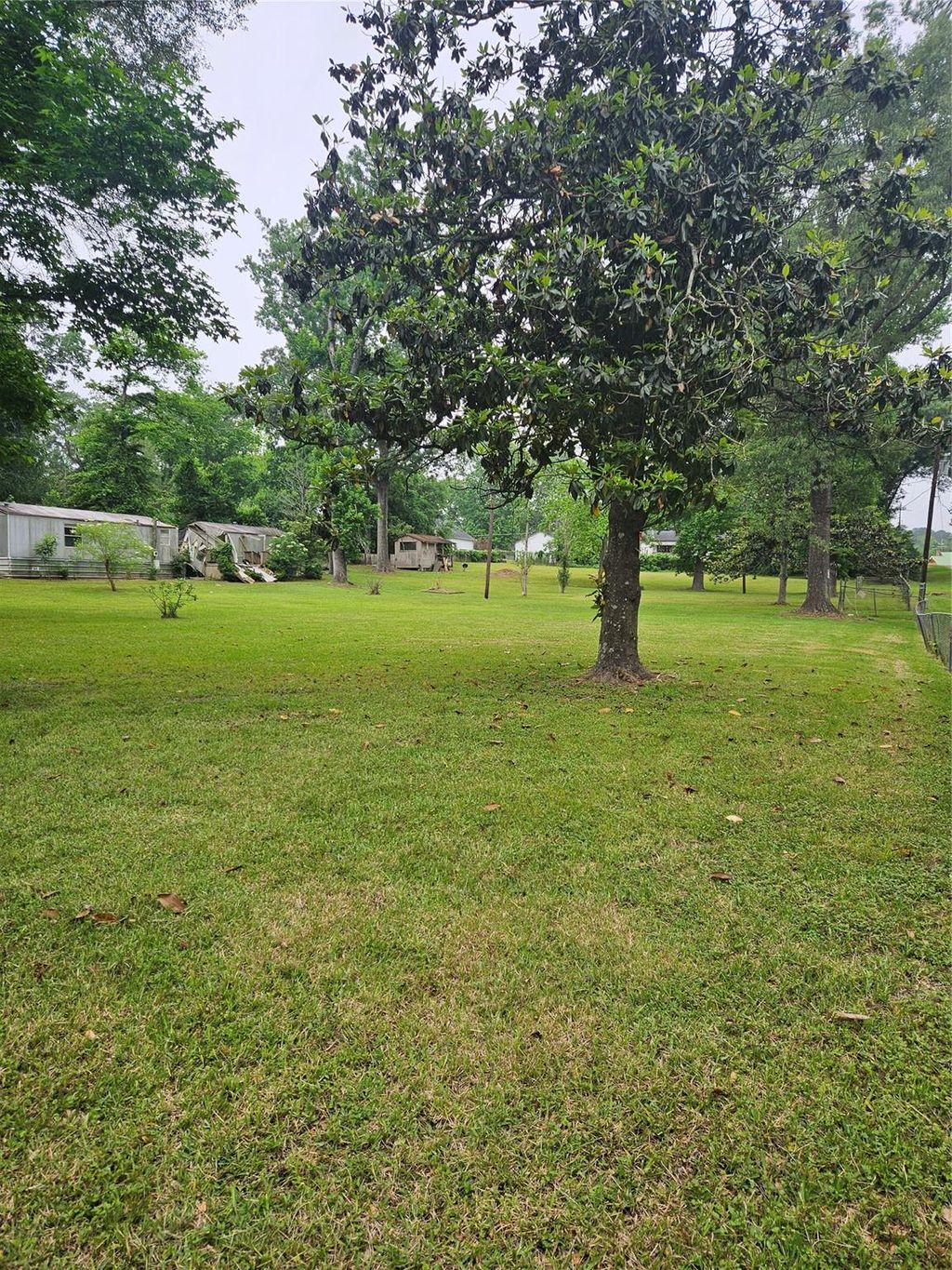Photo of 22048 Caney Drive, New Caney, TX 77357 (MLS # 96270753)