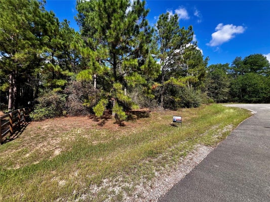 9485 PARKVIEW DR, WALLER, TX 77484 - Image bcc190f09bd6ec497f00e52e054f2e12/3579593875