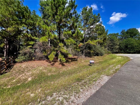 Photo of 9485 Parkview Drive, Waller, TX 77484 (MLS # 3656927)