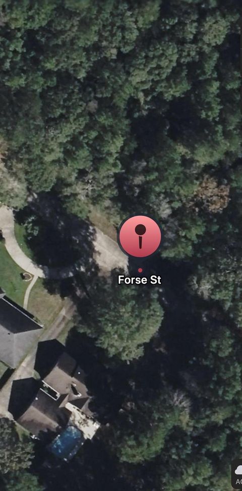 Vacant Land For Sale - TBD Forse Street<br/> Tyler County, Woodville, TX 75979