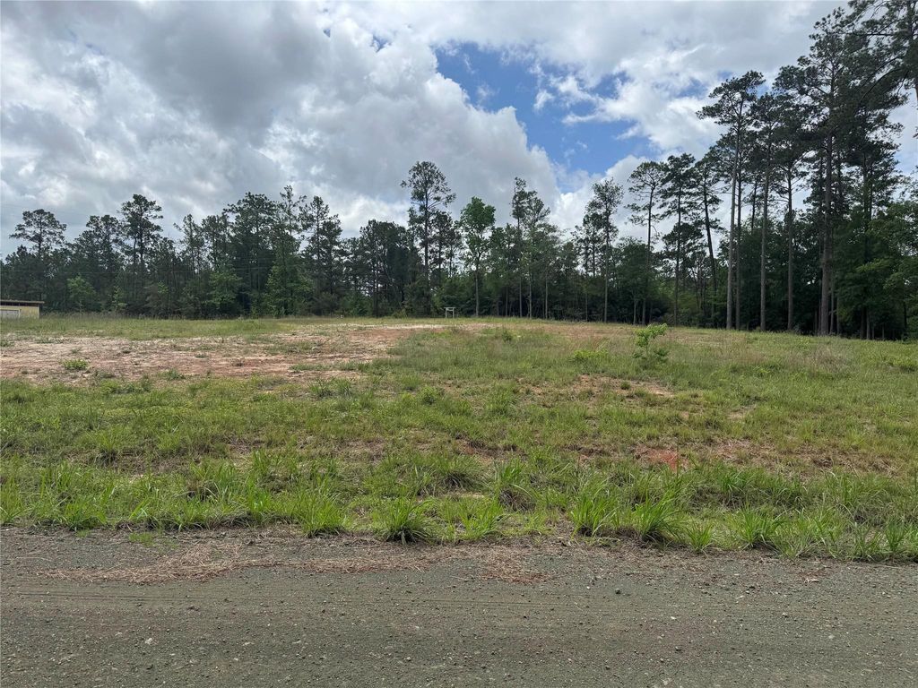 Photo of 545 Private Road 6026, Brookeland, TX 75931 (MLS # 89434595)