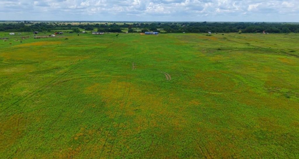 Photo of 1087 Cr 141, Rock Island, TX 77470 (MLS # 75860617)
