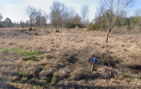 Photo of 551 W Amaryllis Street, Waller, TX 77484 (MLS # 91029950)