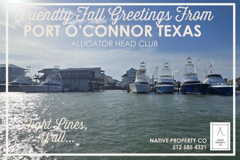 1 Alligator Head Lane Port O Connor TX 77982