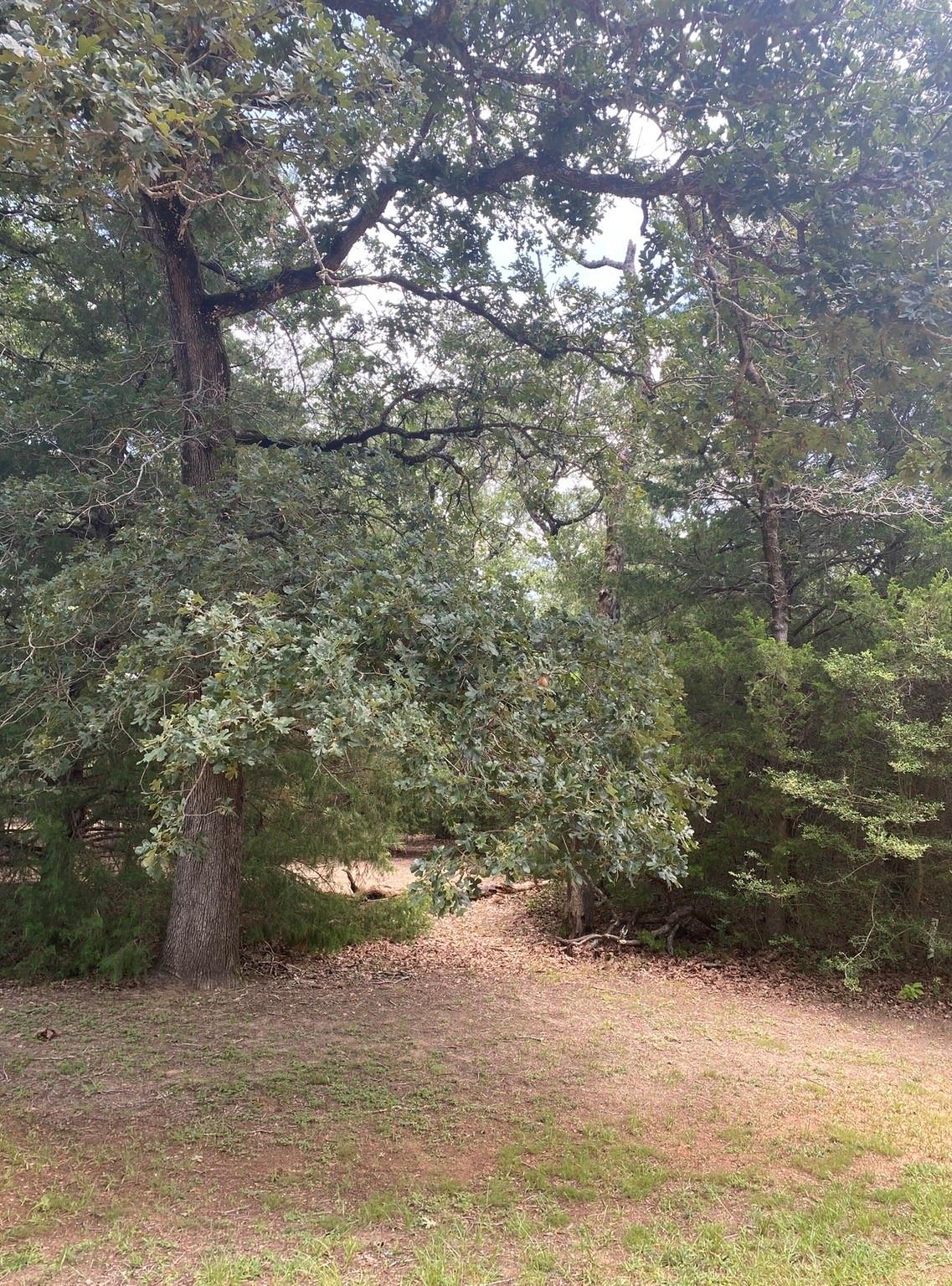 165 Navarro Drive