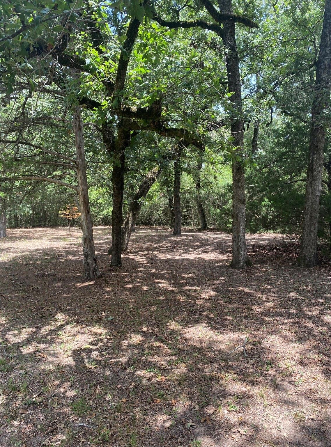 165 Navarro Drive