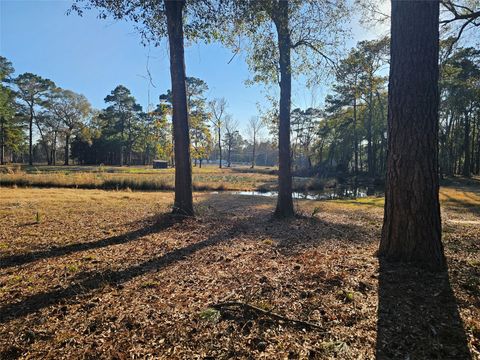 Vacant Land For Sale - 1325 Fm 223 Road<br/> Shepherd, TX 77371